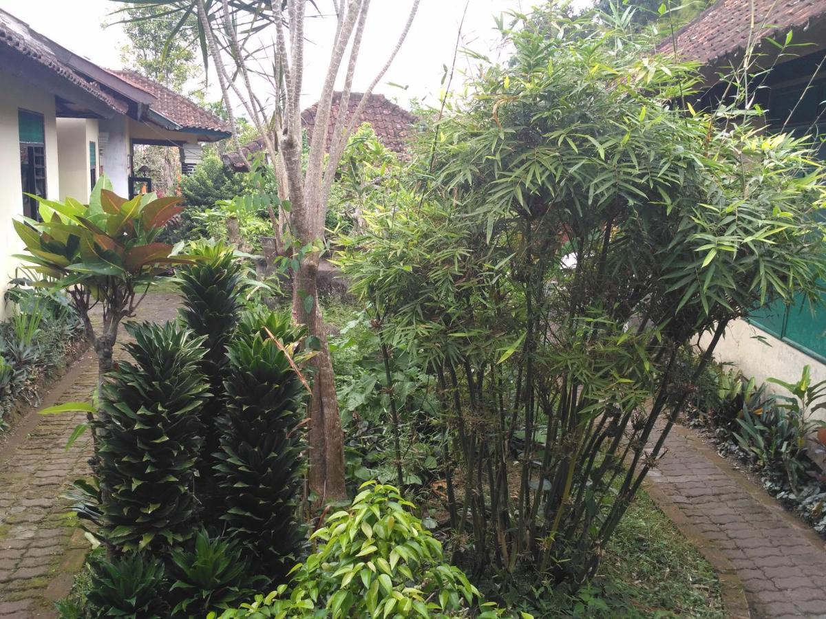 Dhangin Taman Karangasem Buitenkant foto