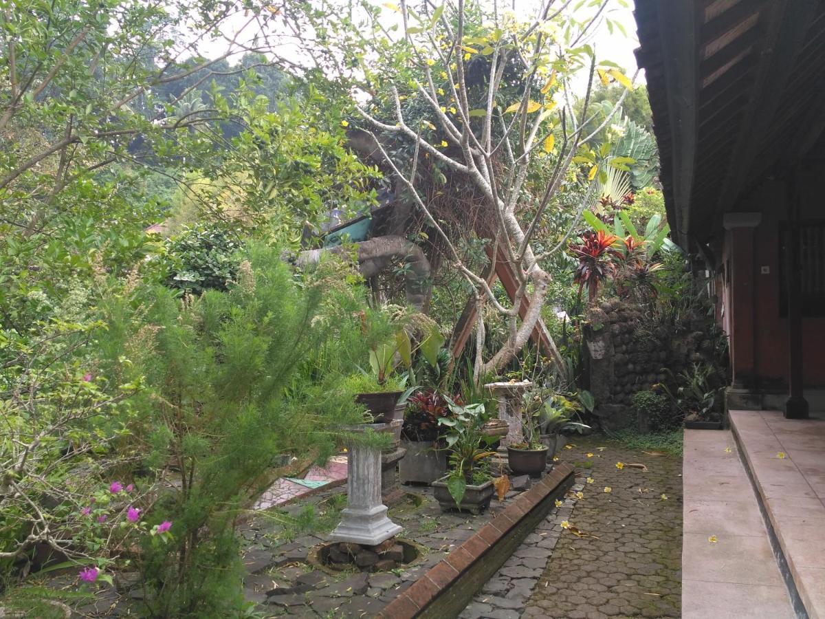 Dhangin Taman Karangasem Buitenkant foto